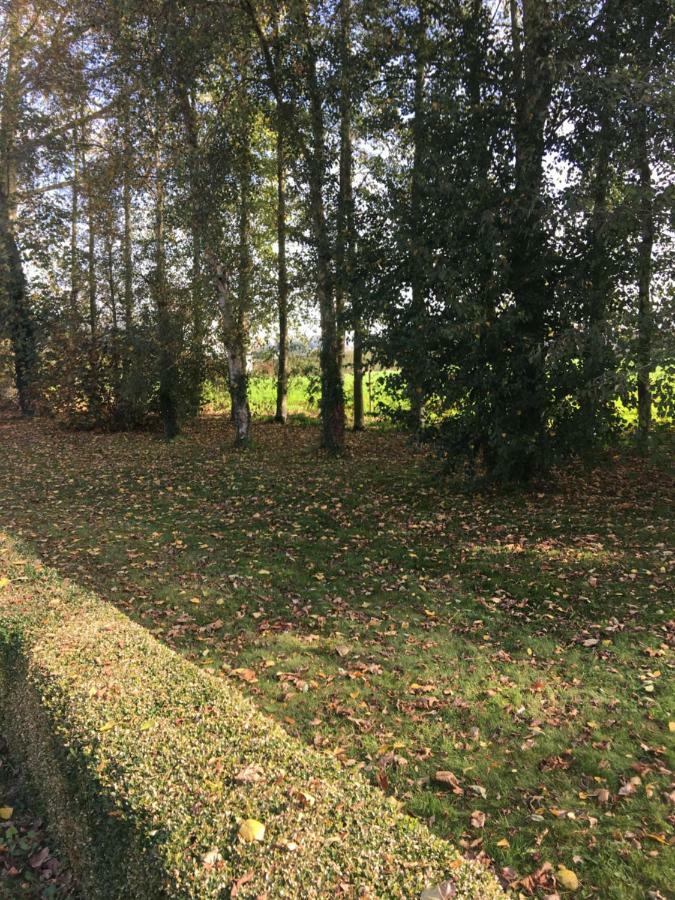 Au Coeur De La Flandre Lejlighed Noordpeene Eksteriør billede