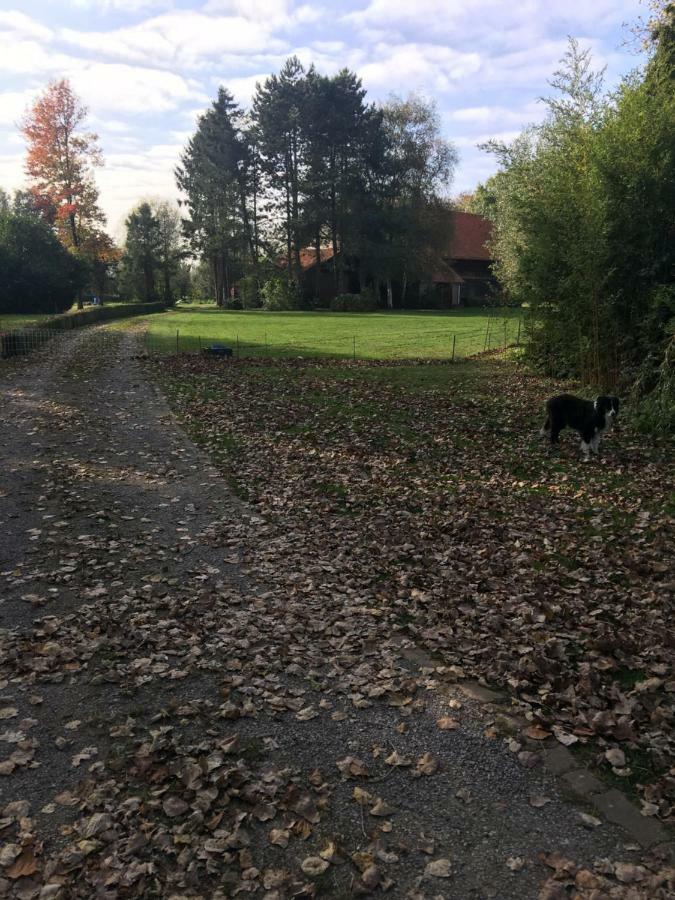 Au Coeur De La Flandre Lejlighed Noordpeene Eksteriør billede