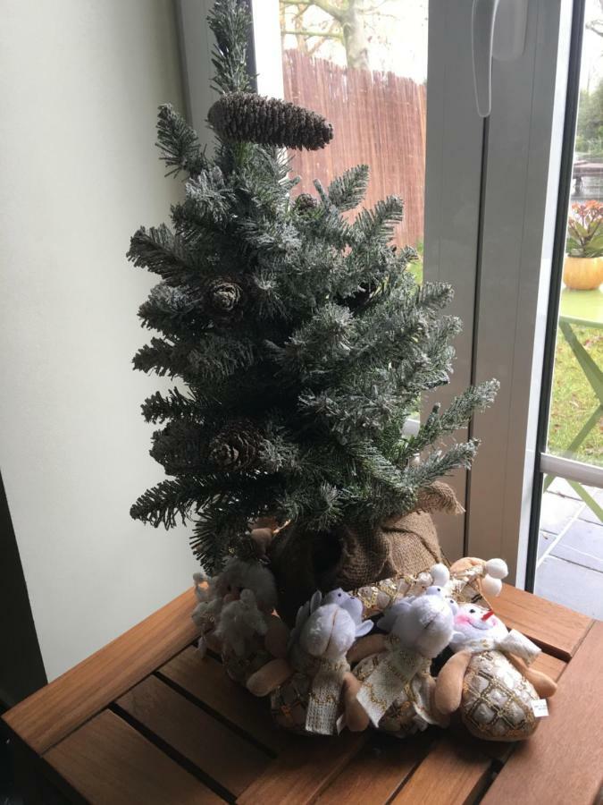 Au Coeur De La Flandre Lejlighed Noordpeene Eksteriør billede