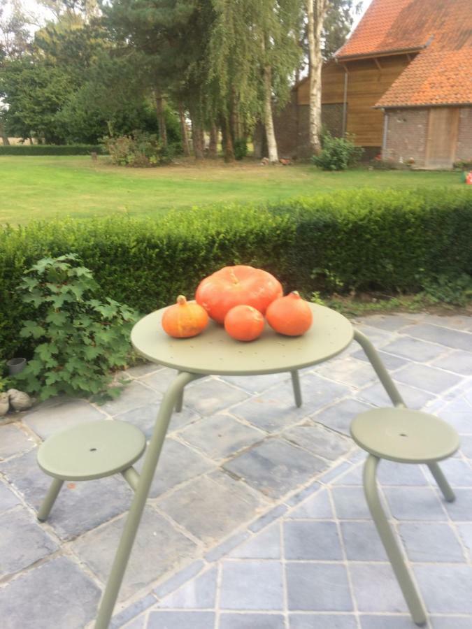 Au Coeur De La Flandre Lejlighed Noordpeene Eksteriør billede